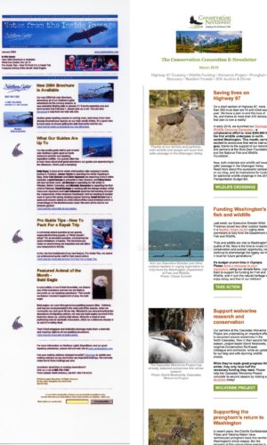 Email Marketing