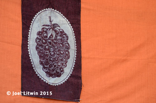 DSC2149-JoelLitwin
