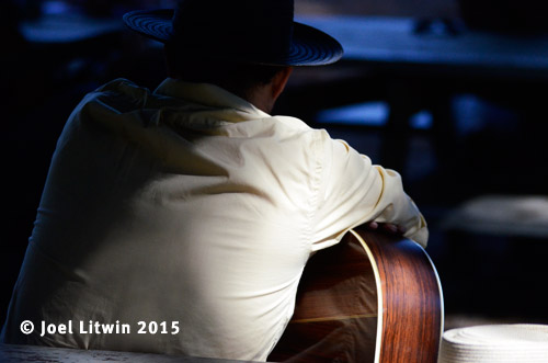  DSC2546-JoelLitwin