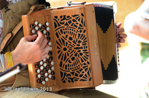 accordion (1)
