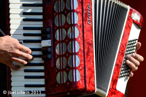 accordion (1) (1)