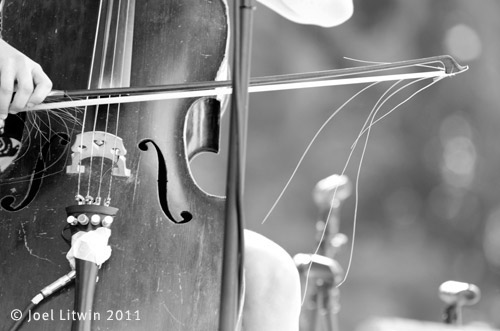cello